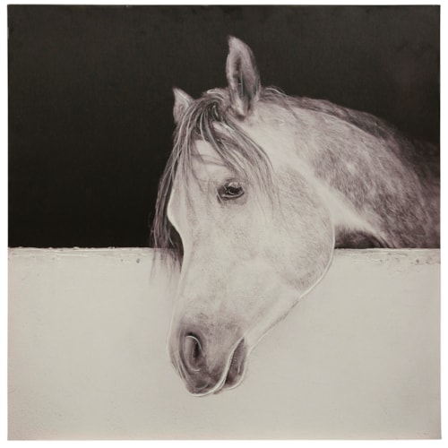 Colt Canvas