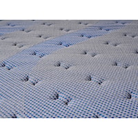 CHANDLER SPRINGS FIRM TWIN XL | MATTRESS