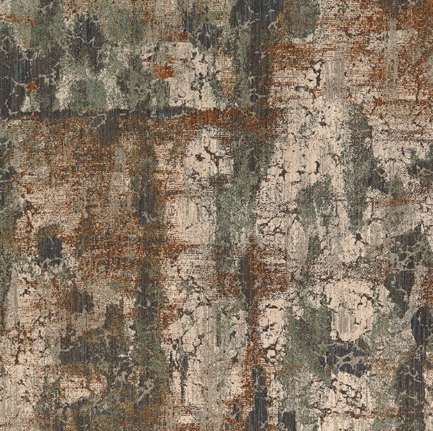 Collection Thumbnail