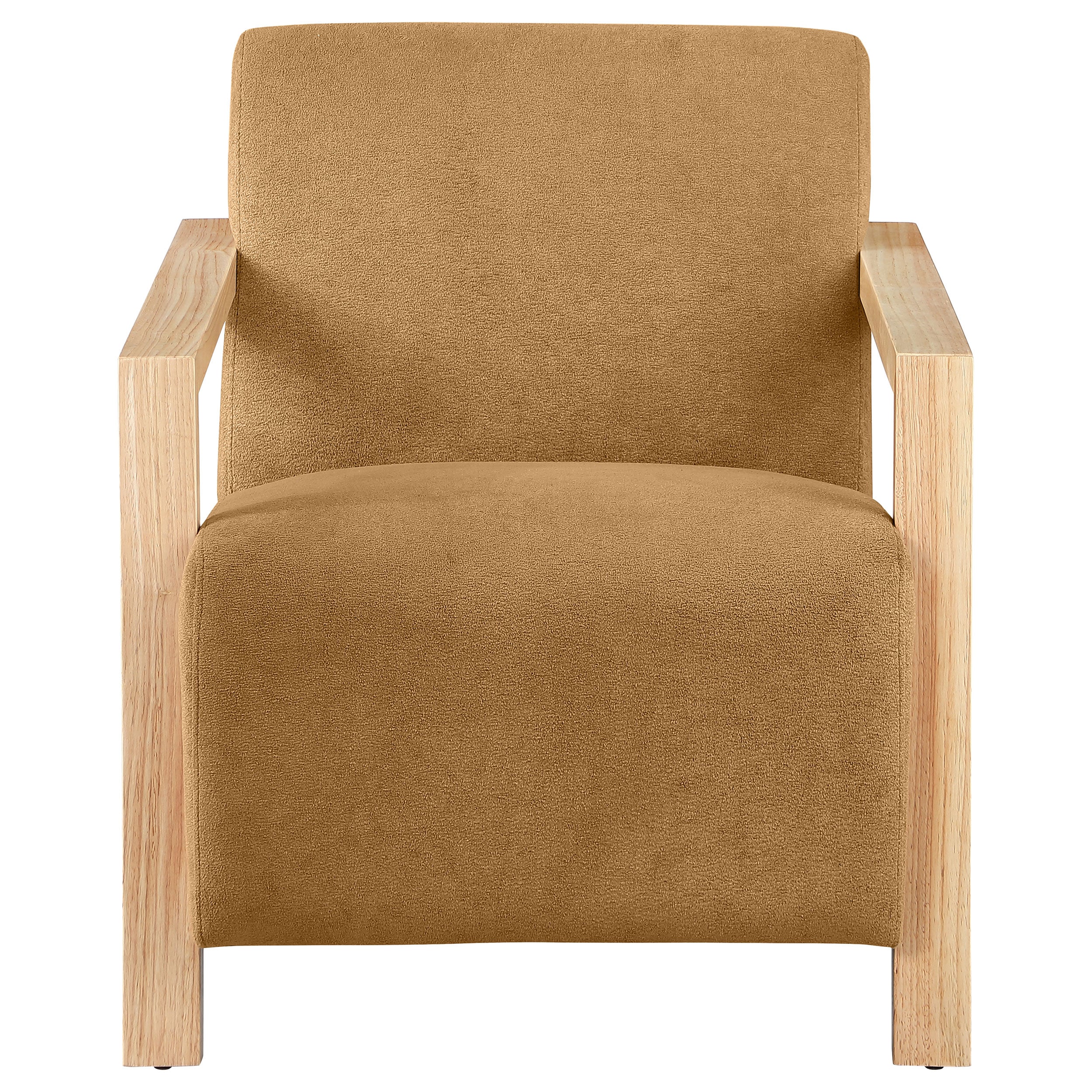 Diego Accent Arm Chair w/ Wood Arms