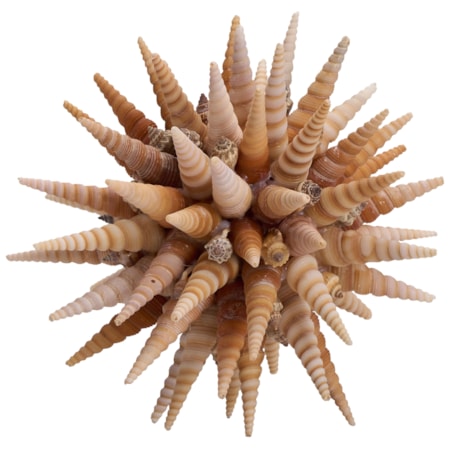 Marlin Shell Ball (Sm)