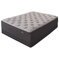 Cal King Plush Pocketed Coil Mattress and 6" Low Profile Steel Foundation