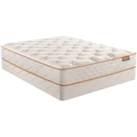 Twin 11 1/2" Plush Pocketed Coil Mattress and 9" Standard Foundation