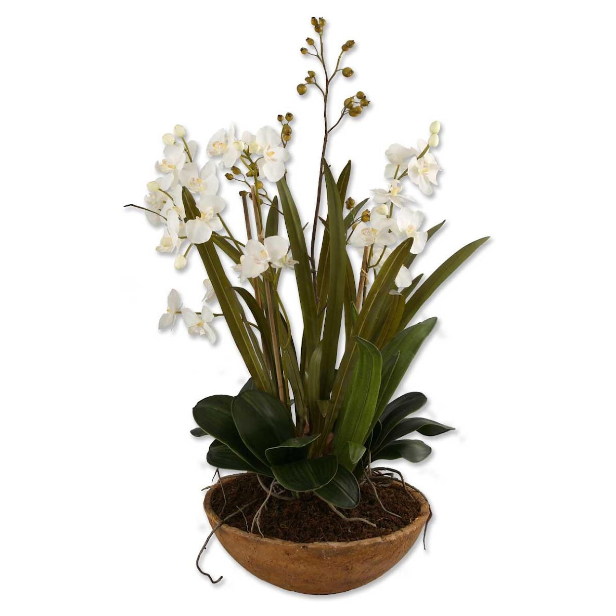 Uttermost Botanicals Moth Orchid Planter