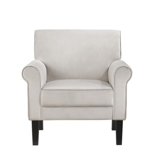 Transitional Accent Chair-Velvet Ash