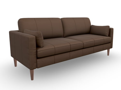 Mid-Century Modern Sofa with Two Pillows