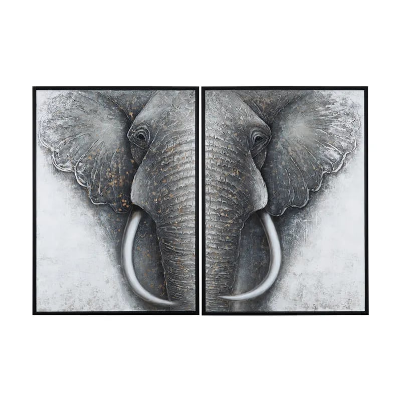 Collection Thumbnail