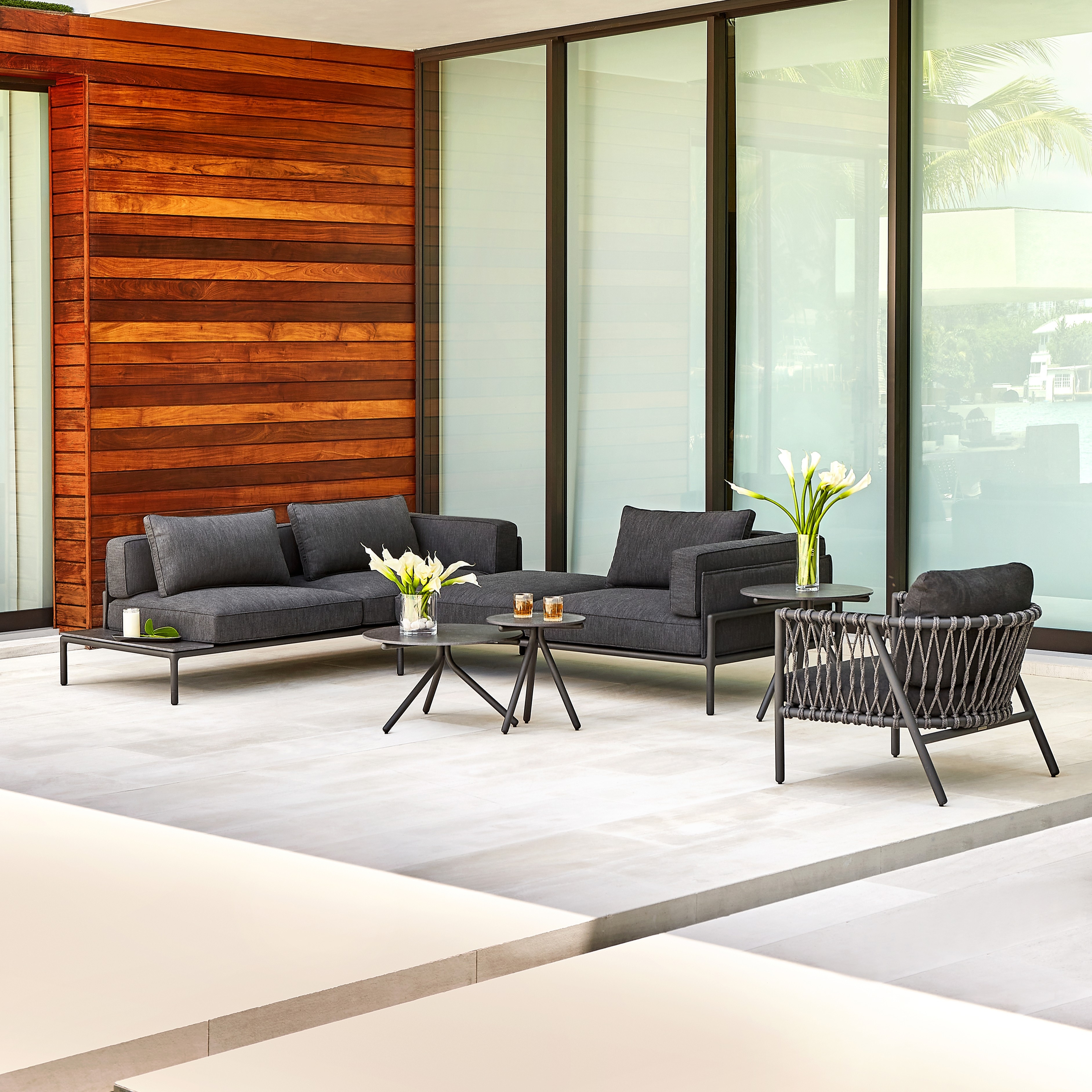 Collection Thumbnail