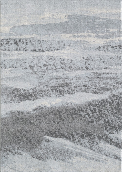 5'3" x 7'7" Blue Rectangle Rug