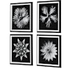 Uttermost Contemporary Floret Contemporary Floret Framed Prints S/4