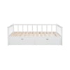 Powell Hadley Storage Trundle Daybed