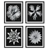 Uttermost Contemporary Floret Contemporary Floret Framed Prints S/4