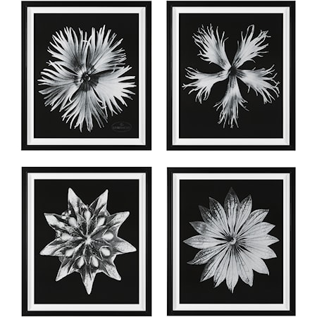 Contemporary Floret Framed Prints S/4