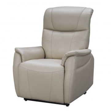 Lift Power Recliner