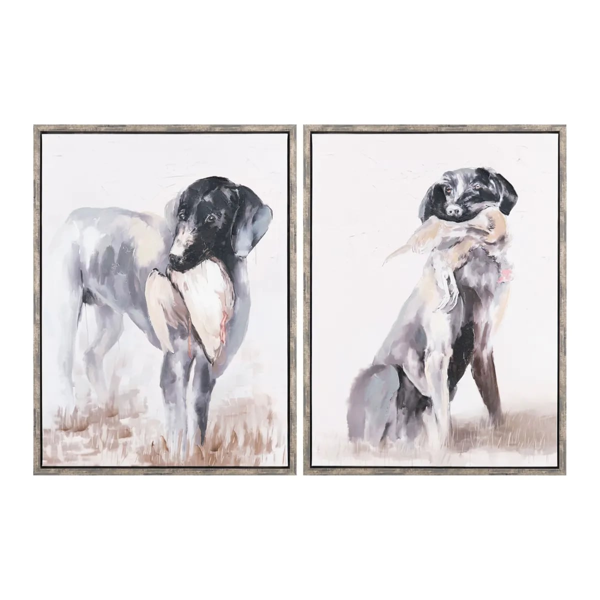 Collection Thumbnail