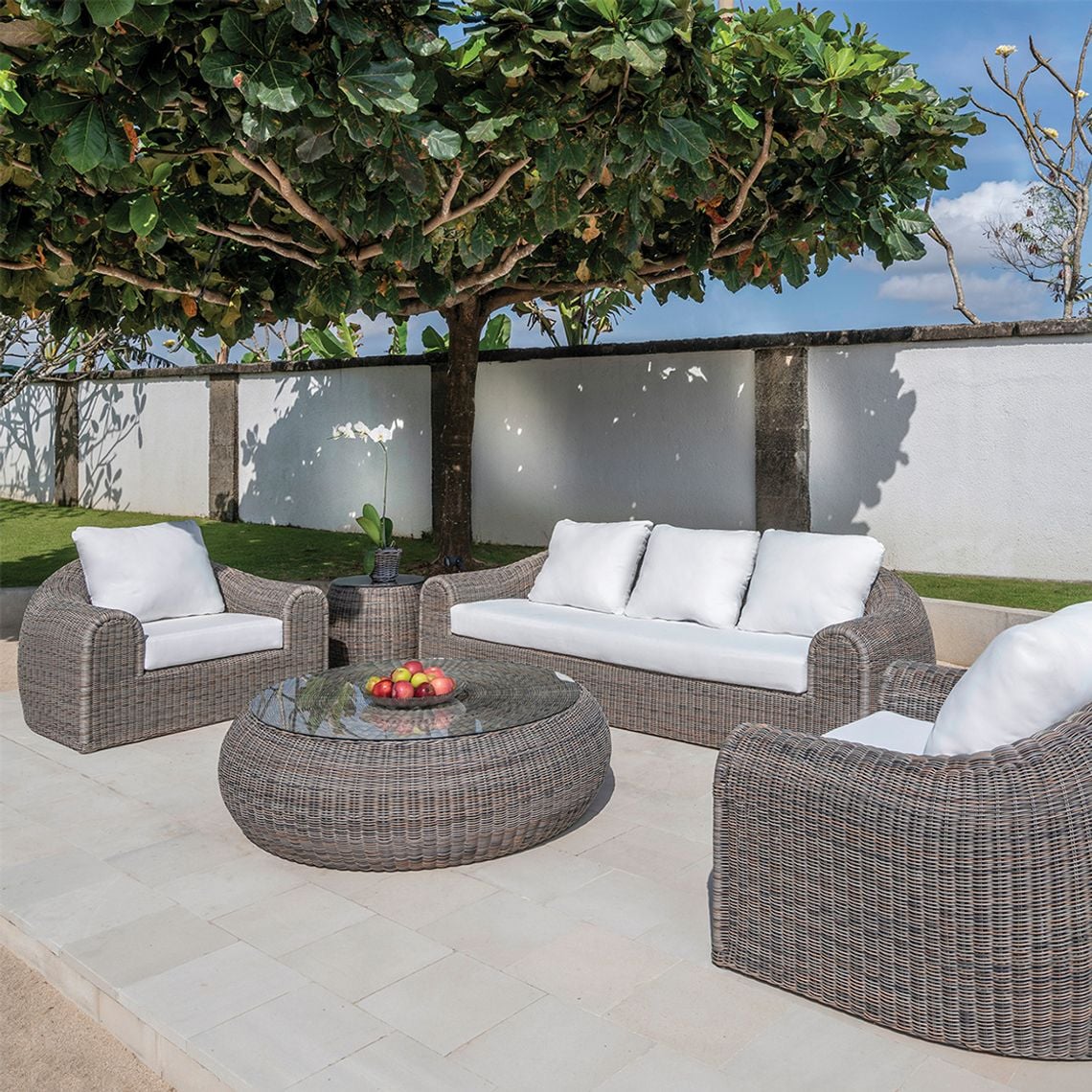 Collection Thumbnail