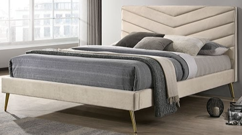 Collection Thumbnail