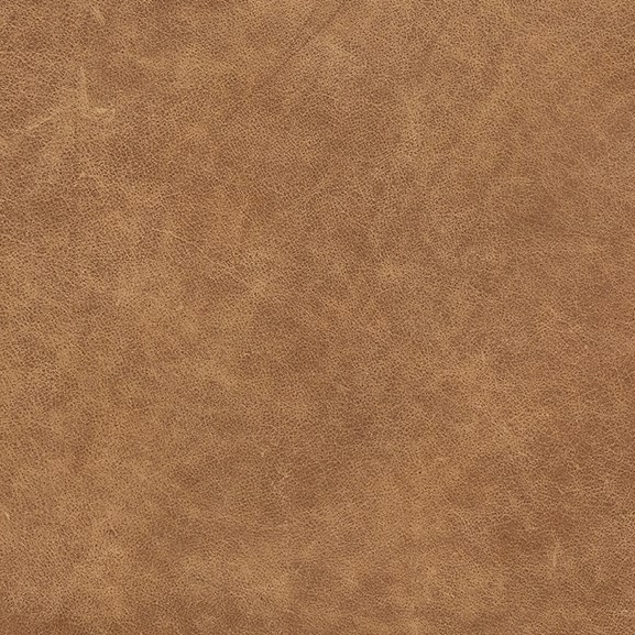 Winchester Sycamore