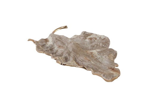 Transitional Leaf Scultpure