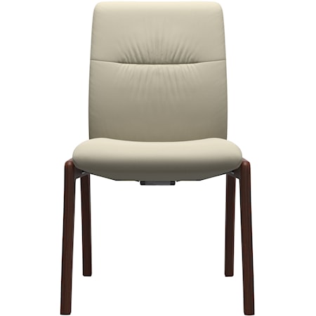 Contemporary Mint Large Low-Back Dining Chair D100