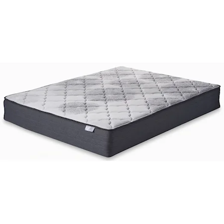 Queen 9" Plush Mattress