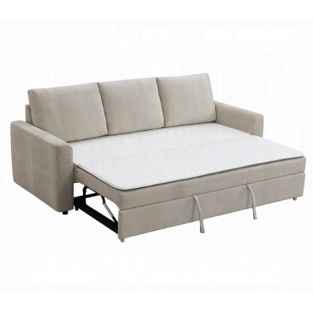 Sleeper Sofa