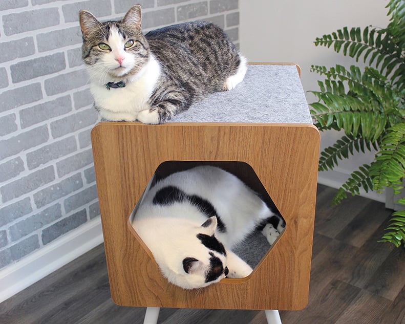Felt-Lined Cat Bed/Nester