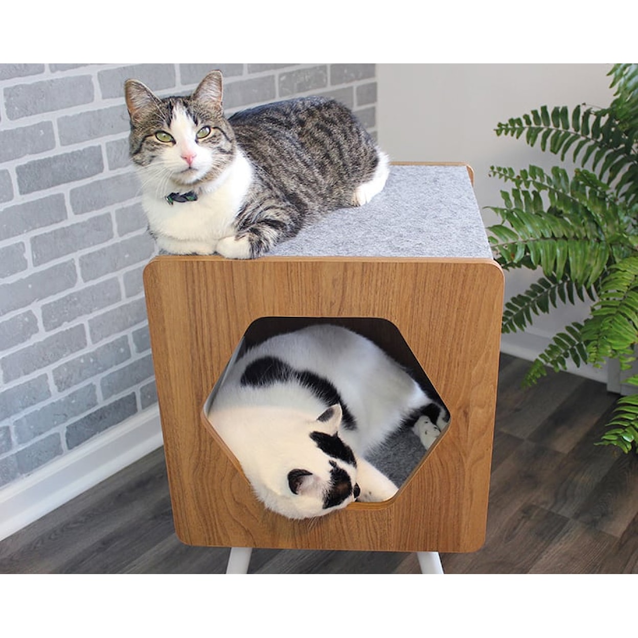 Sauder Pet Furniture Felt-Lined Cat Bed/Nester