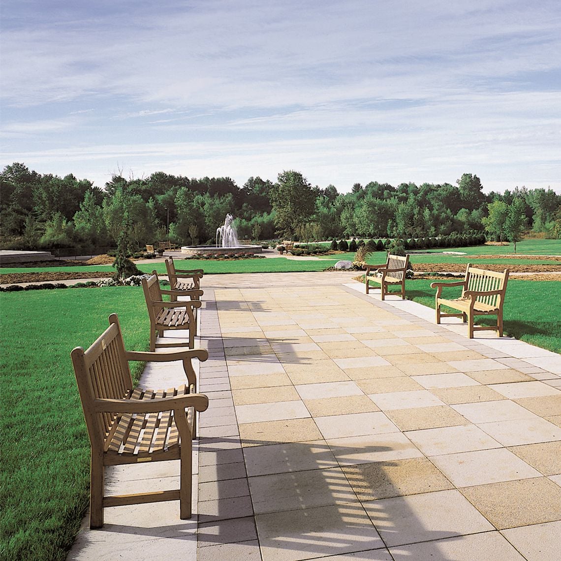 Collection Thumbnail