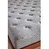 Symbol Mattress Aspen Plush ASPEN PLUSH FULL MATTRESS |