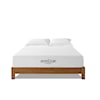 Modway Aveline 10" Queen Mattress