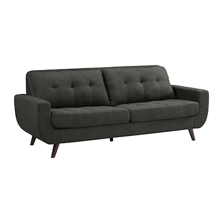 Contemporary Sofa with Two Pillows