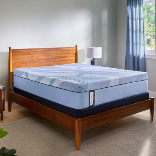 Indianapolis Firm Twin XL