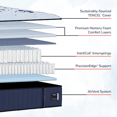 Queen Medium Mattress