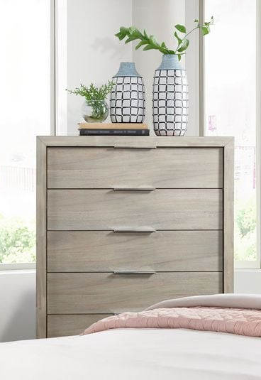 Elements Arcadia B34305CH Transitional 6Drawer Bedroom Chest with