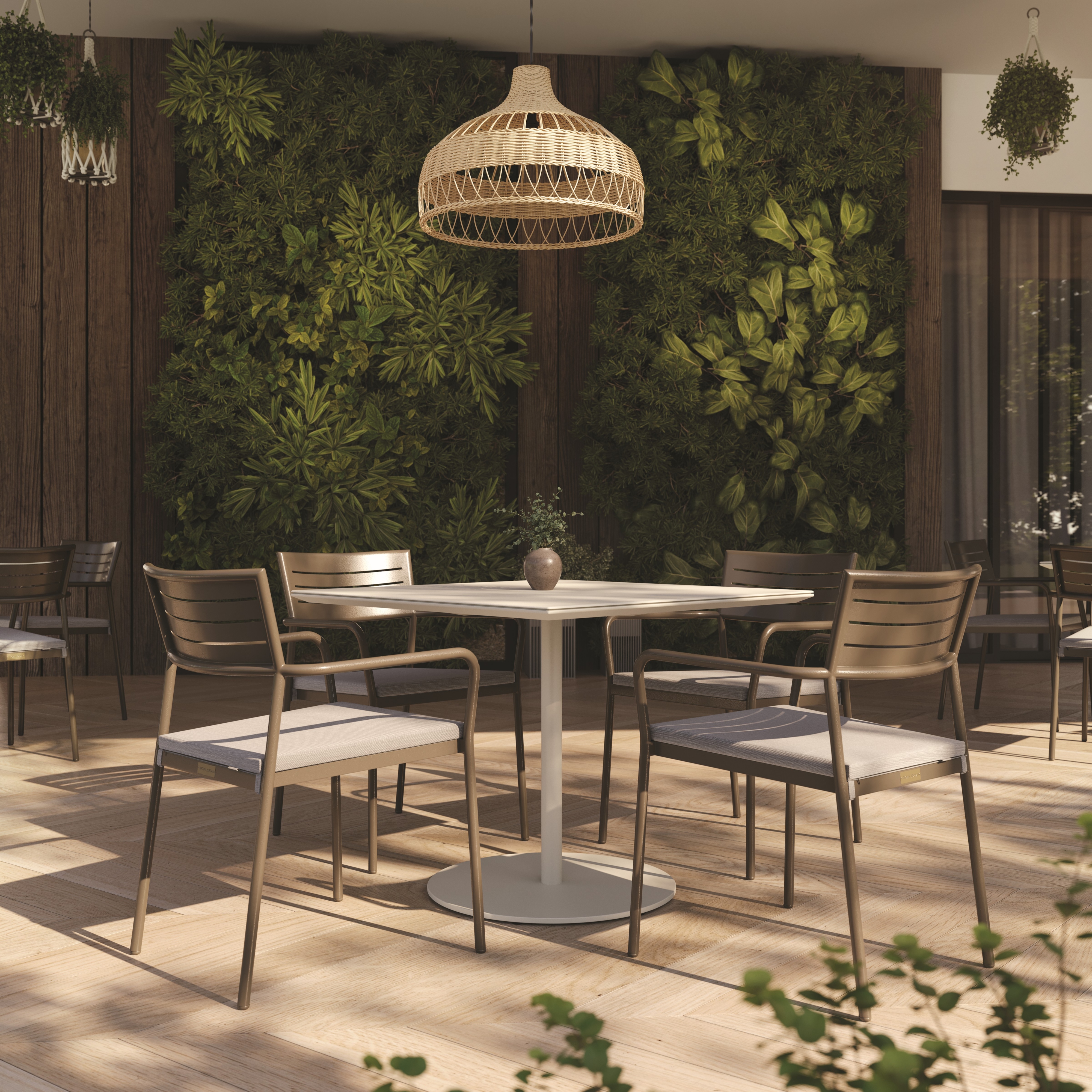 Collection Thumbnail