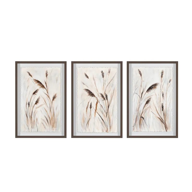 Collection Thumbnail