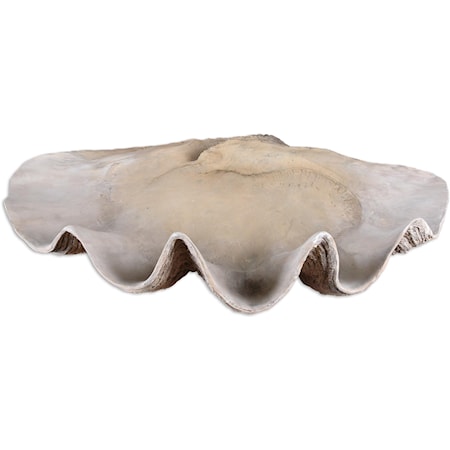 Clam Shell Bowl