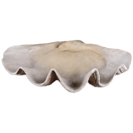 Clam Shell Bowl
