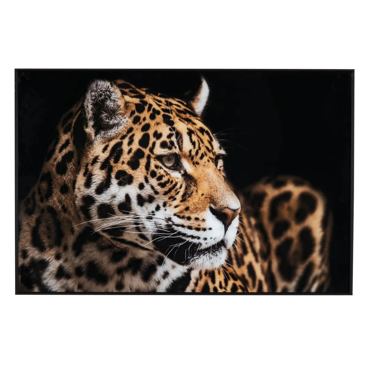 Collection Thumbnail