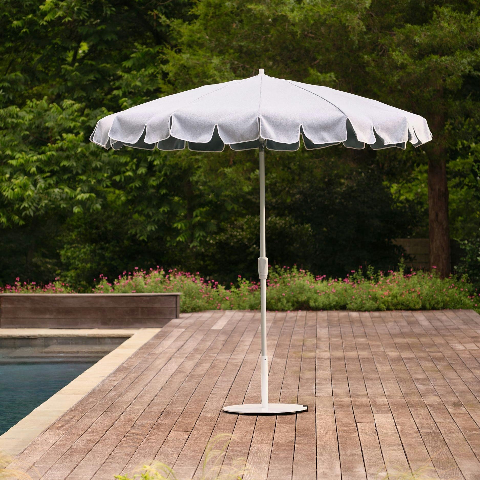 Collection Thumbnail