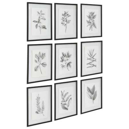 Farmhouse Florals Framed Prints, S/9