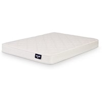 Twin Firm Foam Mattress