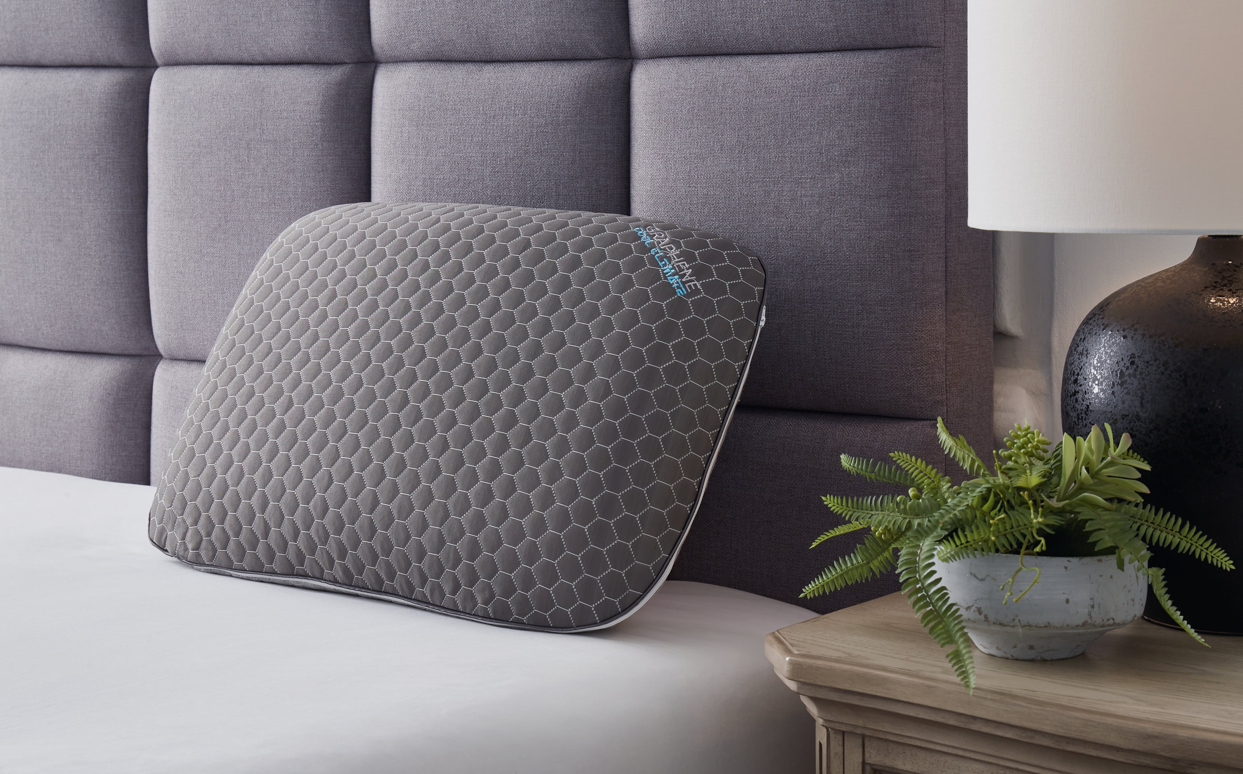 Sierra Sleep Zephyr 2.0 Graphene Contour Pillow (6/Cs)