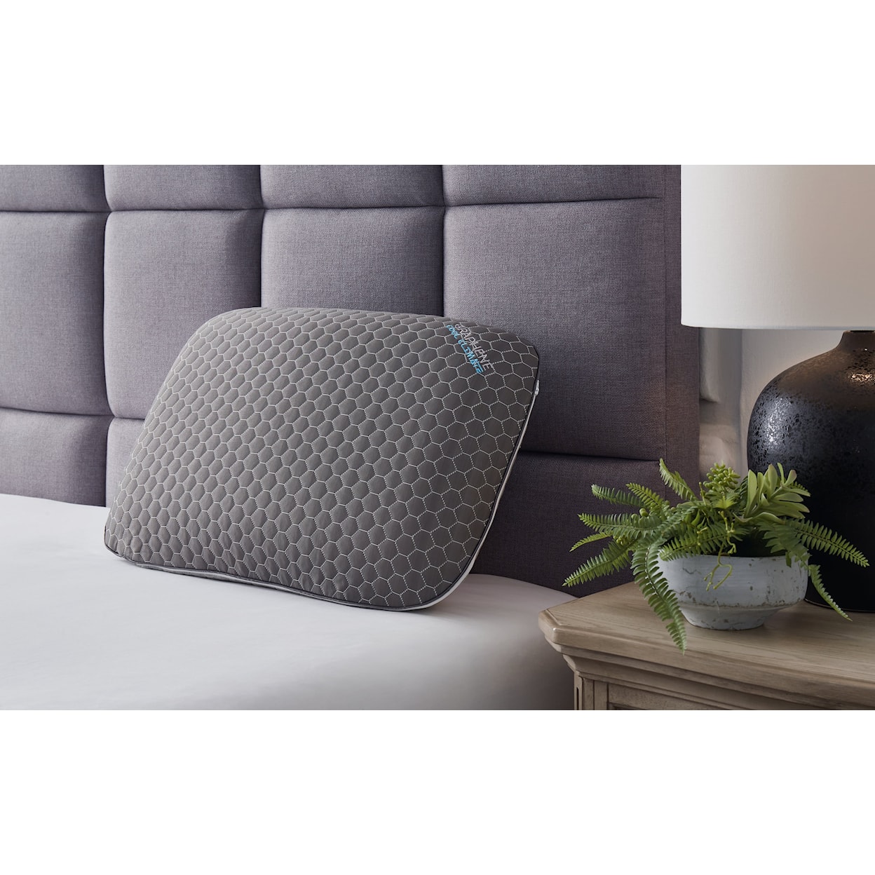 Sierra Sleep Zephyr 2.0 Graphene Contour Pillow