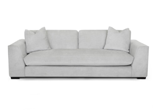 Contemporary Sofa with Two Arm Pillows