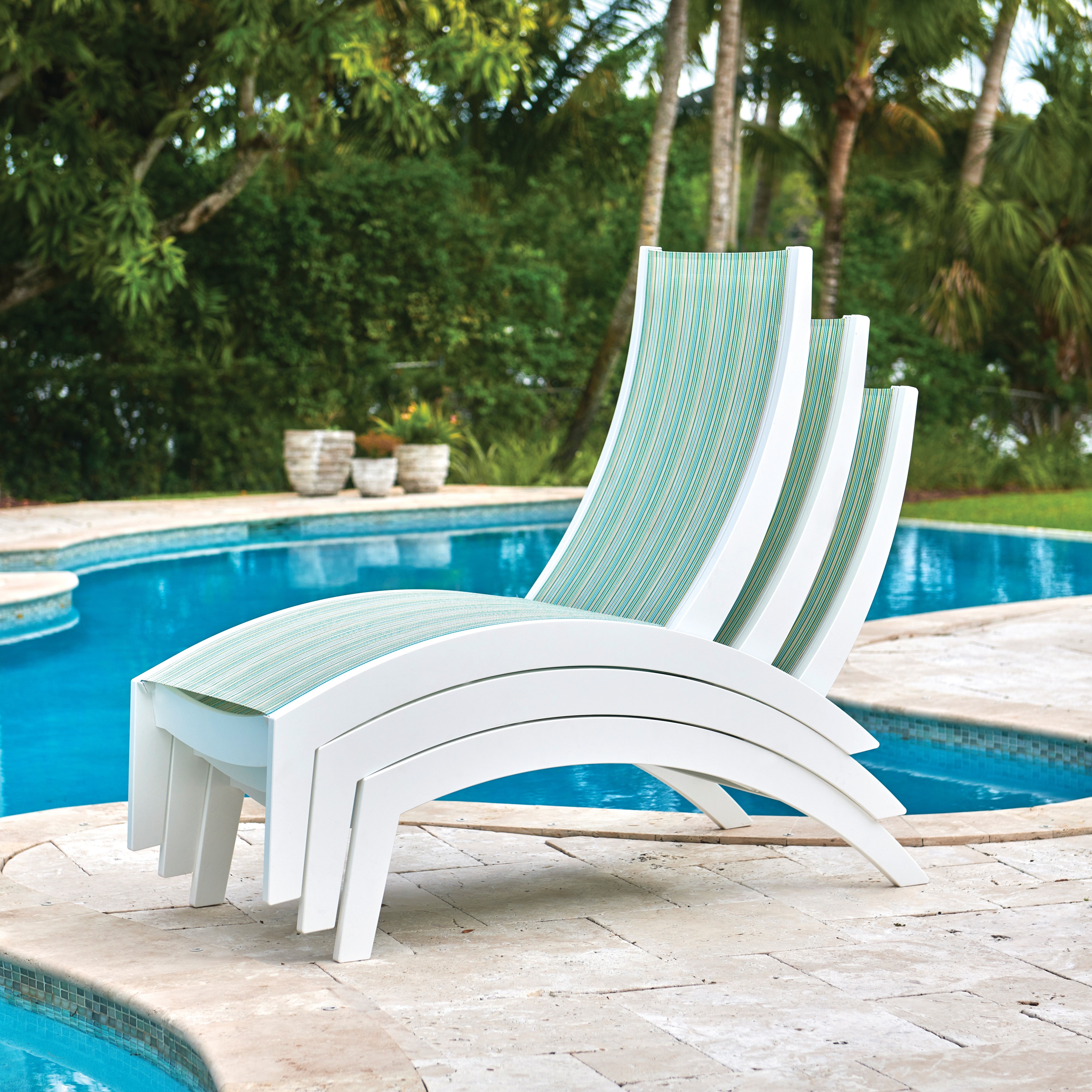 Collection Thumbnail