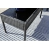 Signature Design by Ashley Alina Outdoor Loveseat/Chairs/Table Set