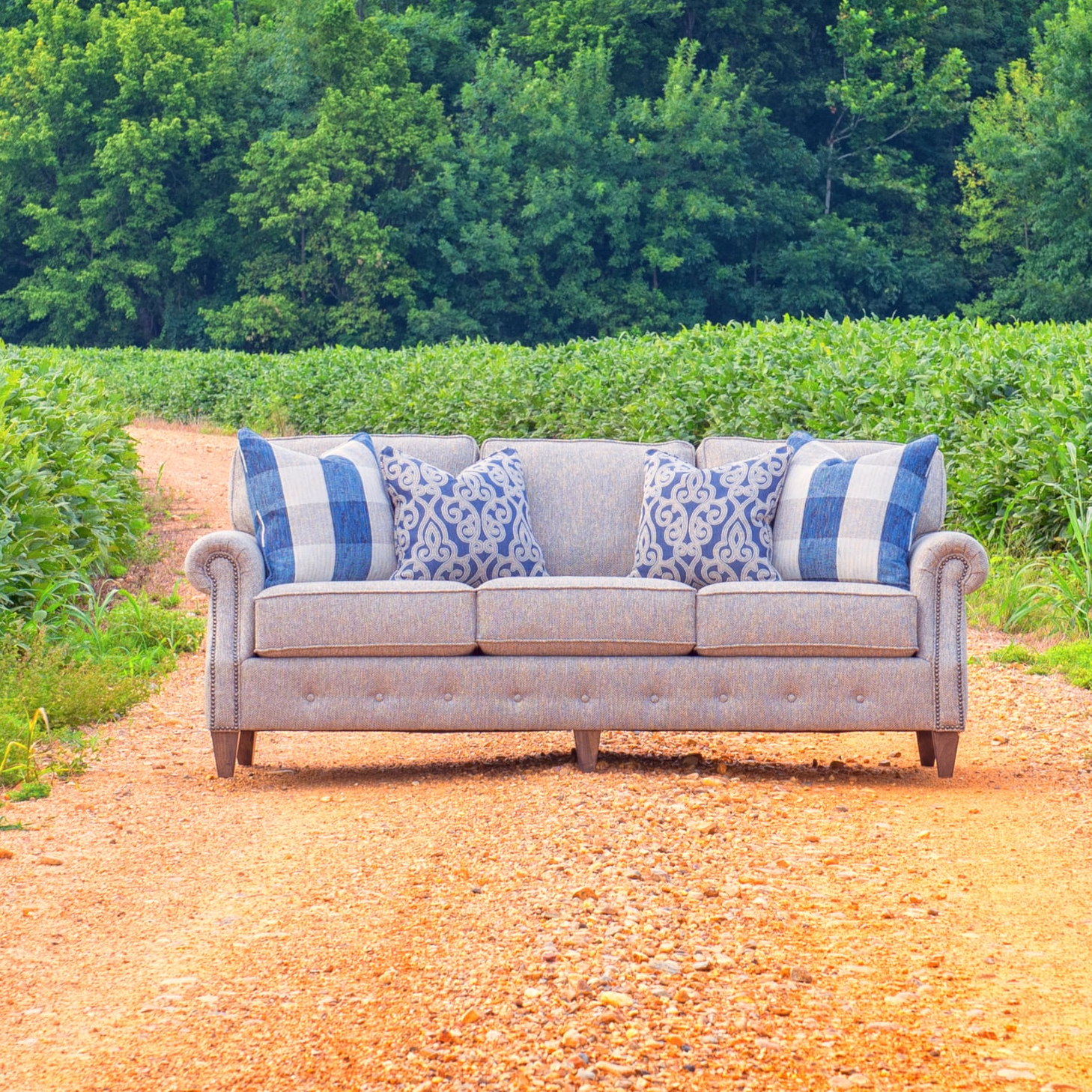 Collection Thumbnail