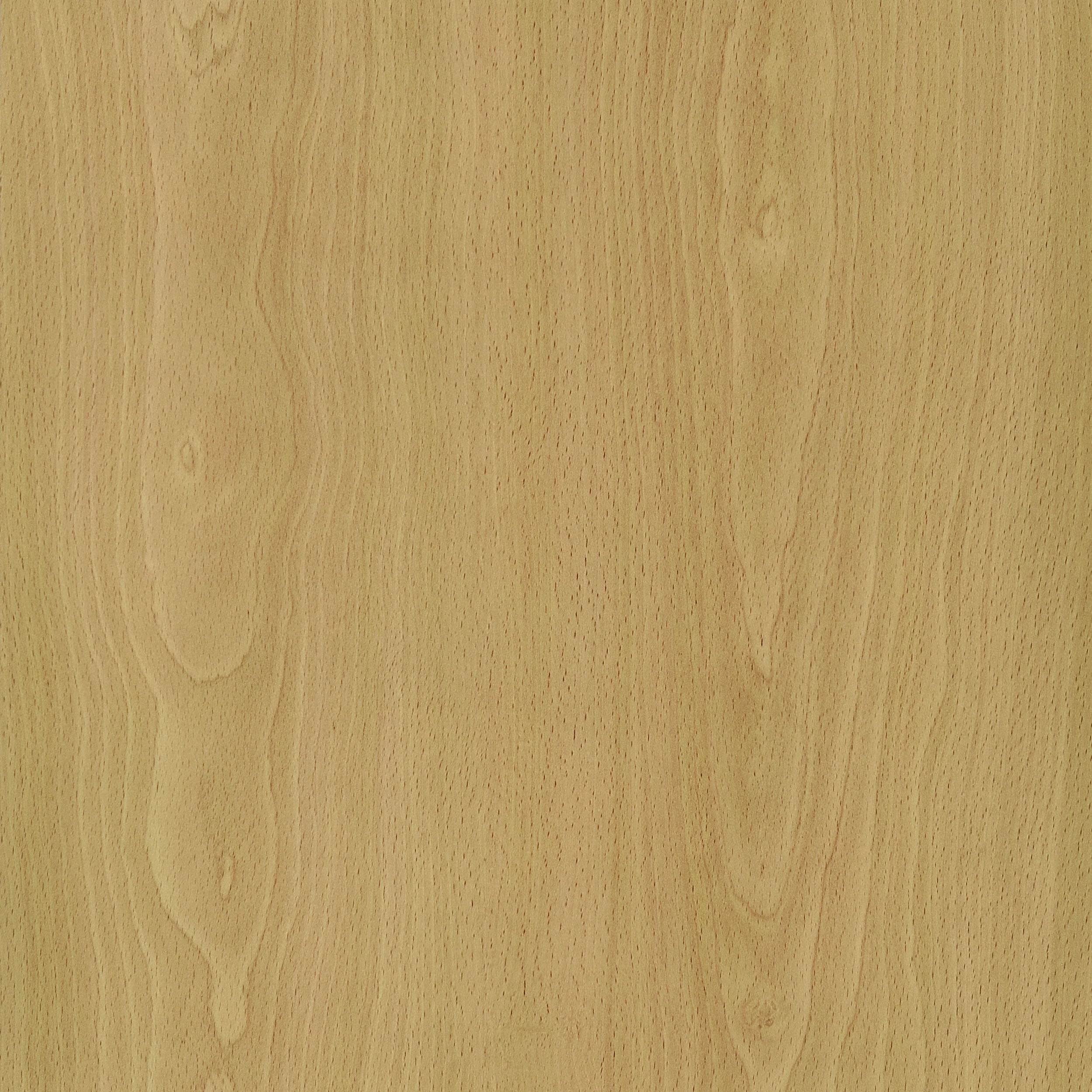 Coaster Mattison 4-Panel Room Divider Folding Shoji Screen